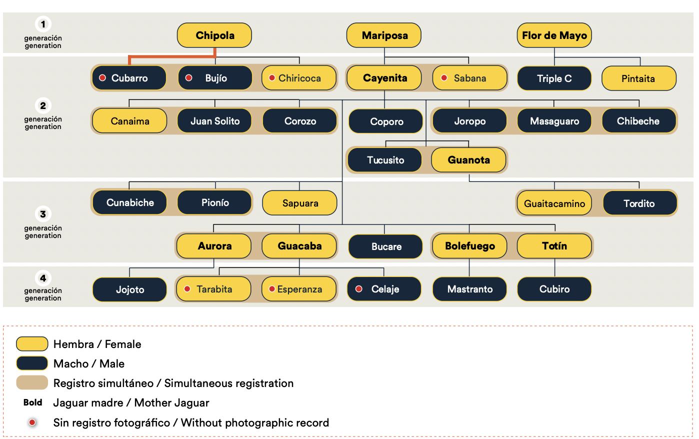 Mariposa family tree